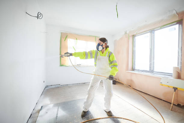 Best Mold Damage Restoration  in Clarkesville, GA