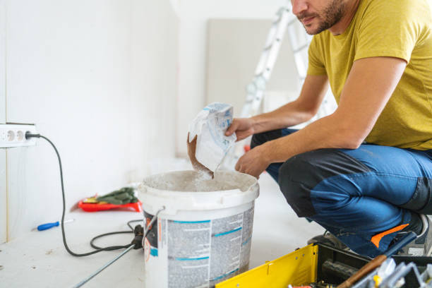 Best Black Mold Removal  in Clarkesville, GA