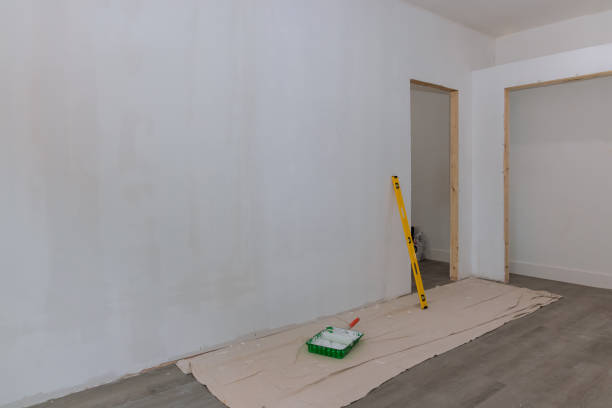 Best Water Damage & Mold Remediation  in Clarkesville, GA