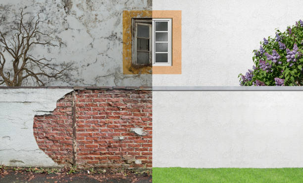 Best Commercial Mold Inspection  in Clarkesville, GA